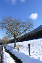 Fototapeta na wymiar Winter im Modenbachtal