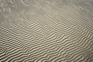 Obraz premium sand texture