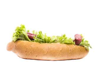 hot tasty bun with sausage