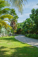 Obraz premium flower garden