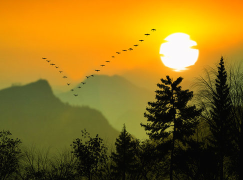 Beautiful landscape with birds