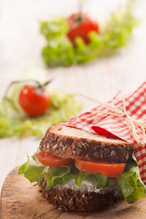 delicious vegetarian sandwich