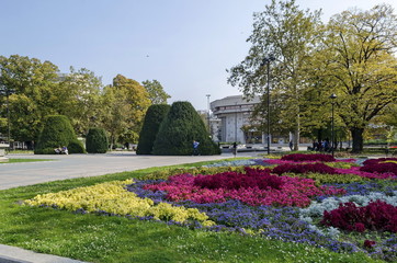 Colorfull flowers garden in Ruse town