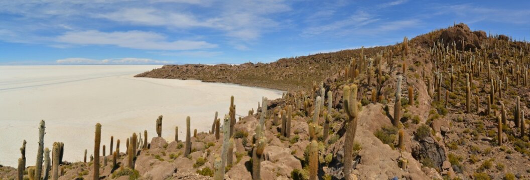 Cactus Island Incahuasi in Uyuni Salt Flats
