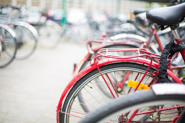 Bike rental service - Many bikes standing in bike stands