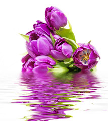 Fototapeta na wymiar purple tulips on a white wooden table