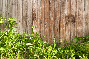 Wooden fence in the sunshine