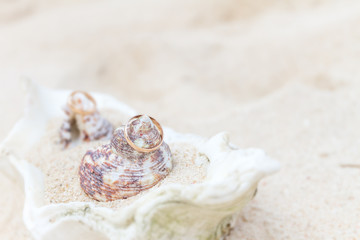 Obraz na płótnie Canvas wedding rings on sand and shell, outdorr beach wedding