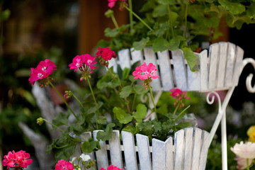 White rustic cute flower pot