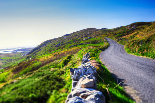 Country Road In Ireland