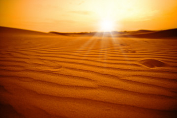 Sahara Desert at Sunset - obrazy, fototapety, plakaty