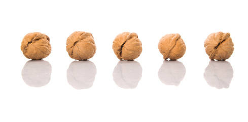 Walnut nuts over white background