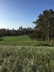 moore park