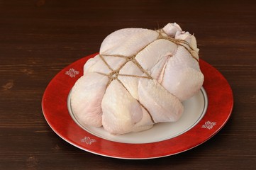 Bondage shibari raw chicken on red boarder plate on dark wood ba