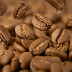 Closeup of coffee beans with focus on one