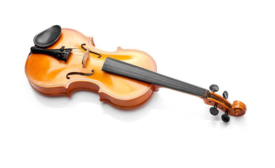 violin on white background - 79497927