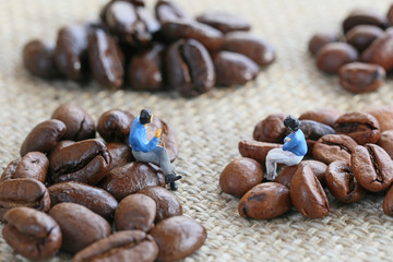 コーヒー豆の選択