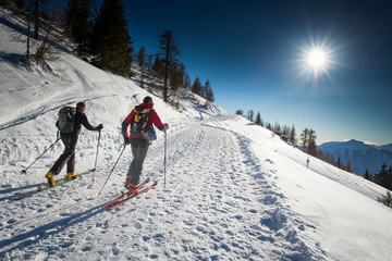 Randonnee ski trails