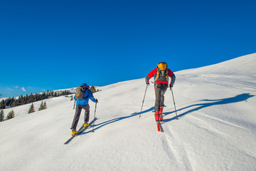 Randonnee ski trails