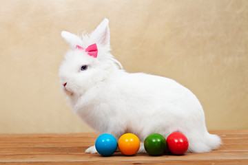 Elegant white rabbit with easter eggs