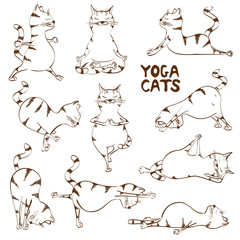 Funny sketch cat doing yoga position - 79502733
