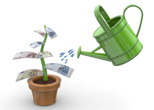 Money Plant - 3D