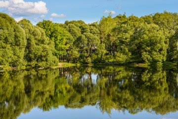 Fototapeta premium spring landscape