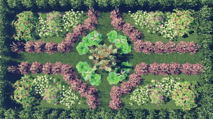 Flower-garden top view