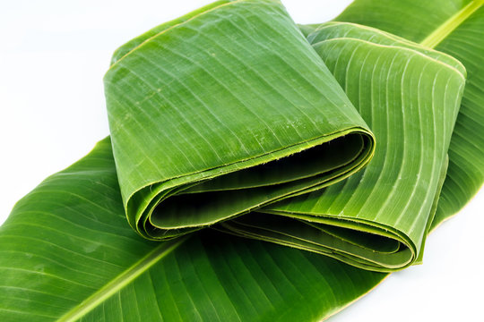 Banana leaves