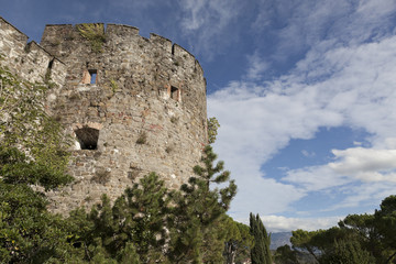 Fototapeta na wymiar Torre e merli del Castello di Gorizia