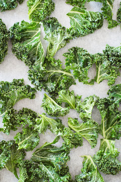 Curly Kale Seasoned Leaves for Chips Arranged on Baking Paper