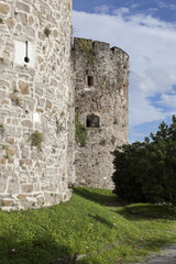 Fototapeta na wymiar Torri nel verde, Castello di Gorizia