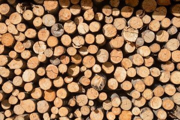 Arranged Firewood stack