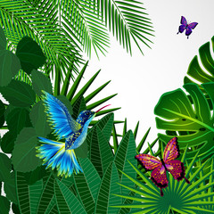 Tropical leaves with birds, butterflies. Floral design.