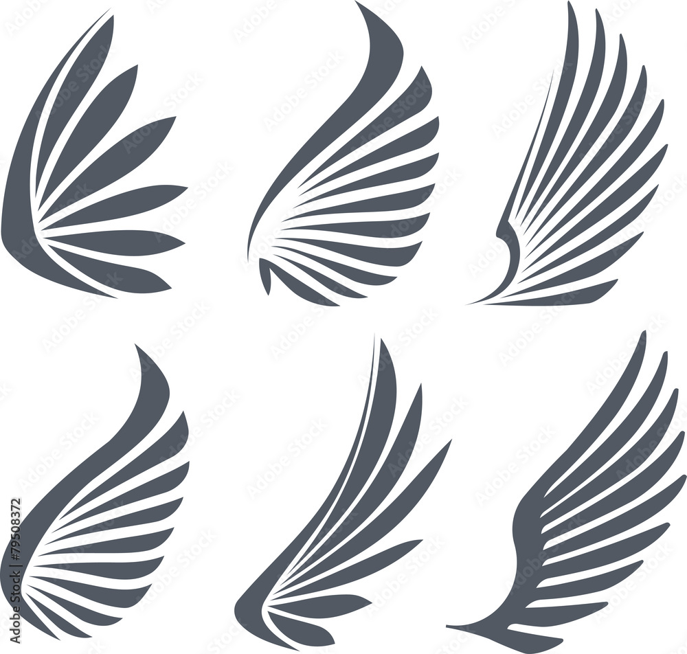 Wall mural set of 6 vector wings.