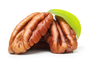 Pecan nuts isolated
