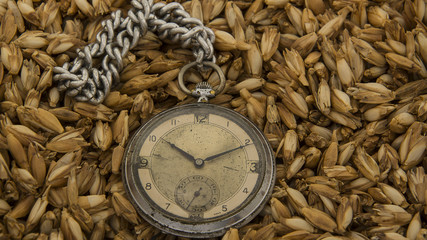 old pocket watch