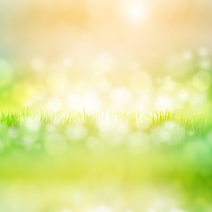 Fototapeta premium Grass with reflection