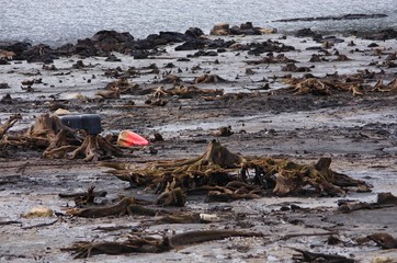 déchets sur la plage