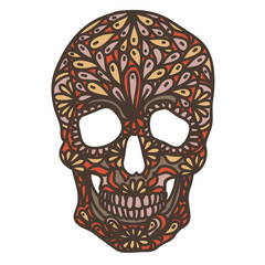 Vector illustration with Hand Drawn Skull. 
