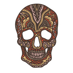 Vector illustration with Hand Drawn Skull. 
