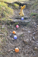 Fototapeta premium Osterhase versteckt die Nester