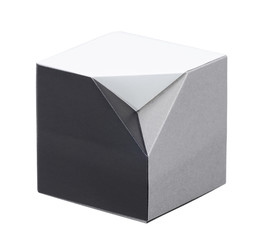 Fototapeta premium Origami monochrome cube