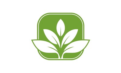 Leaf Logo 49