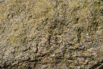Stone