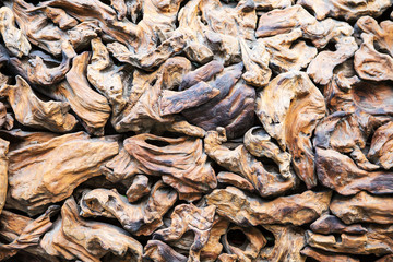 Art from dry branches and old wooden background.