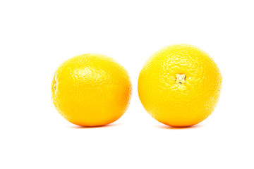 oranges on white background