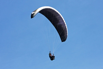 paraglider