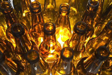 Empty glass beer bottles