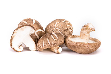 Chinese mushroom on white background